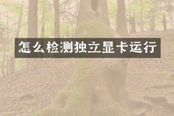 怎么检测独立显卡运行