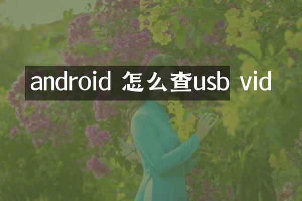 android 怎么查usb vid