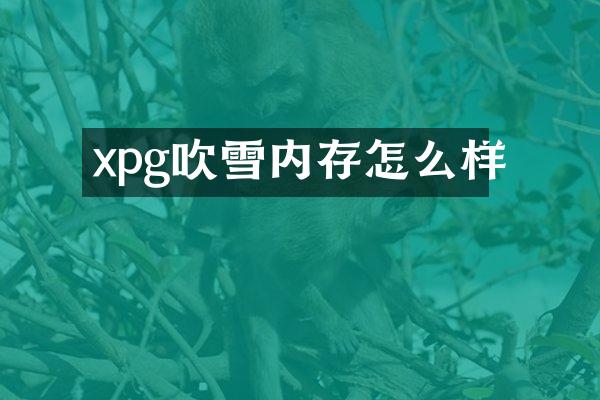 xpg吹雪内存怎么样