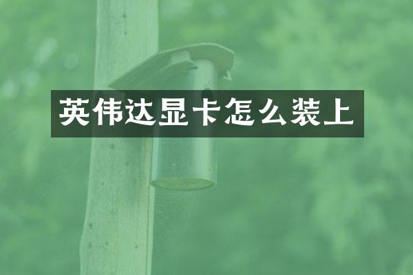 英伟达显卡怎么装上