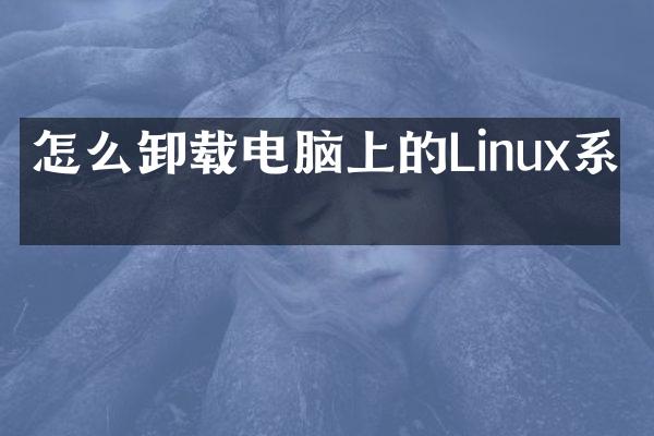 怎么卸载电脑上的Linux系统