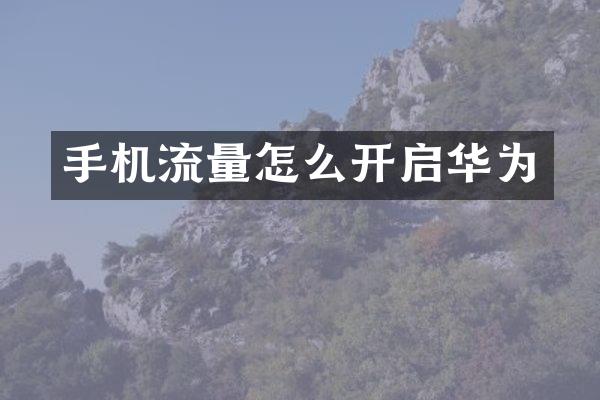 手机流量怎么开启华为