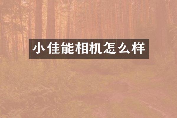 小佳能相机怎么样