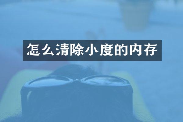 怎么清除小度的内存