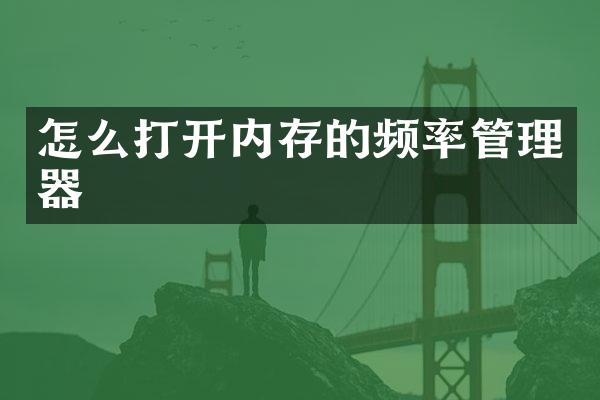 怎么打开内存的频率管理器
