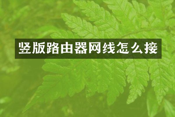 竖版路由器网线怎么接
