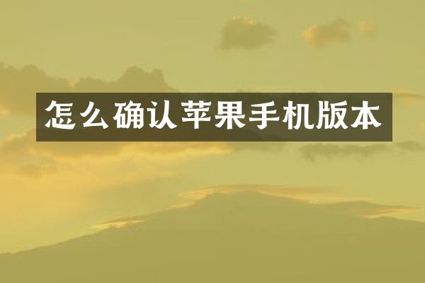 怎么确认苹果手机版本