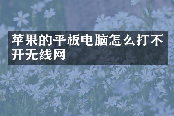 苹果的平板电脑怎么打不开无线网