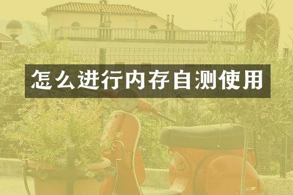 怎么进行内存自测使用
