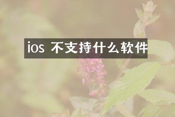 ios 不支持什么软件