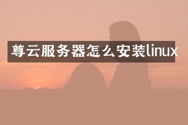 尊云服务器怎么安装linux