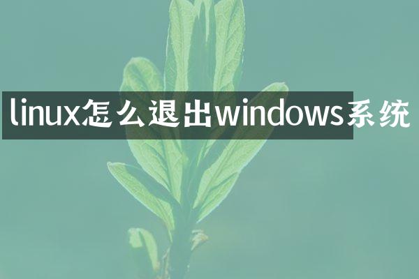 linux怎么退出windows系统