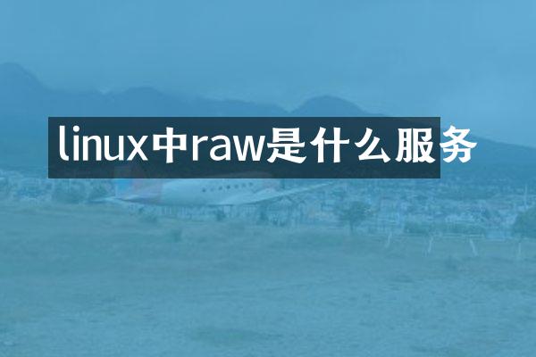linux中raw是什么服务