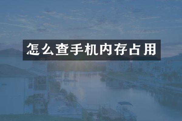 怎么查手机内存占用
