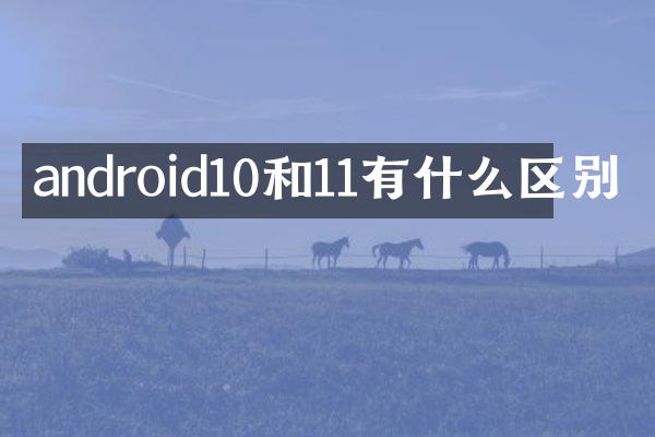 android10和11有什么区别