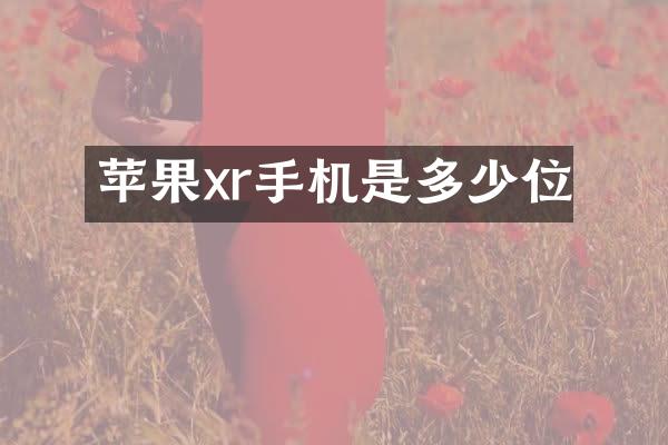 苹果xr手机是多少位