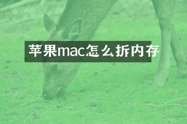 苹果mac怎么拆内存