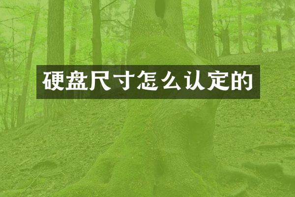 硬盘尺寸怎么认定的