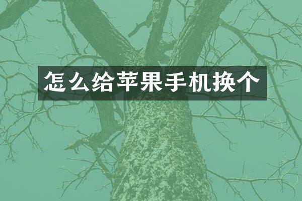 怎么给苹果手机换个
