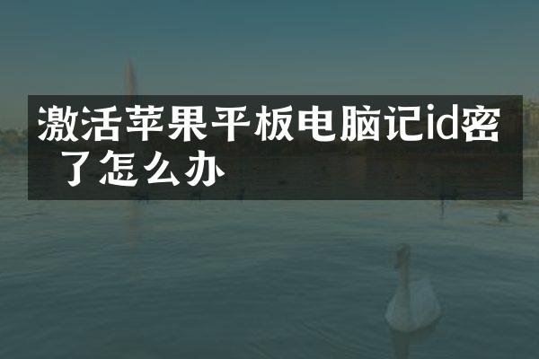 激活苹果平板电脑记id密码了怎么办