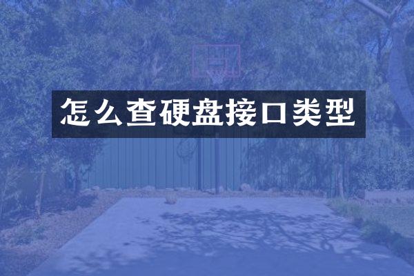 怎么查硬盘接口类型