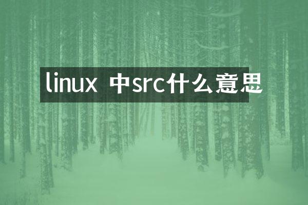 linux 中src什么意思