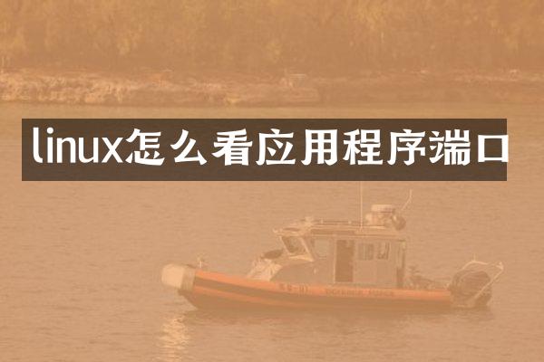 linux怎么看应用程序端口