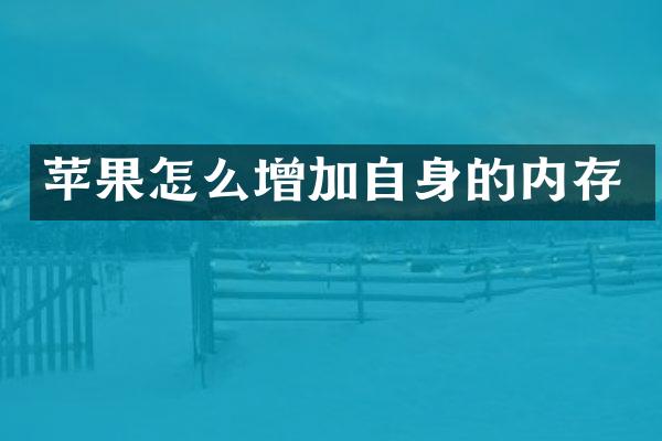 苹果怎么增加自身的内存