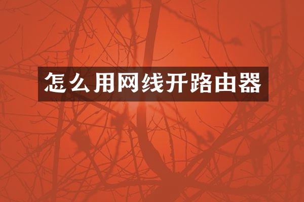 怎么用网线开路由器