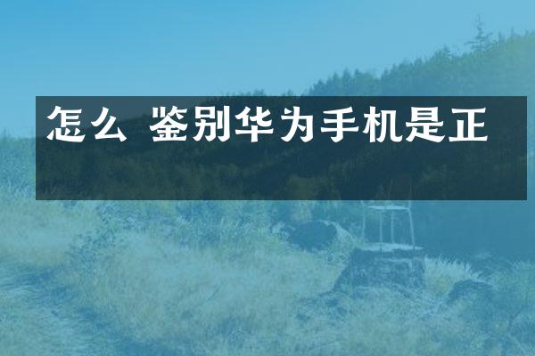 怎么 鉴别华为手机是正品