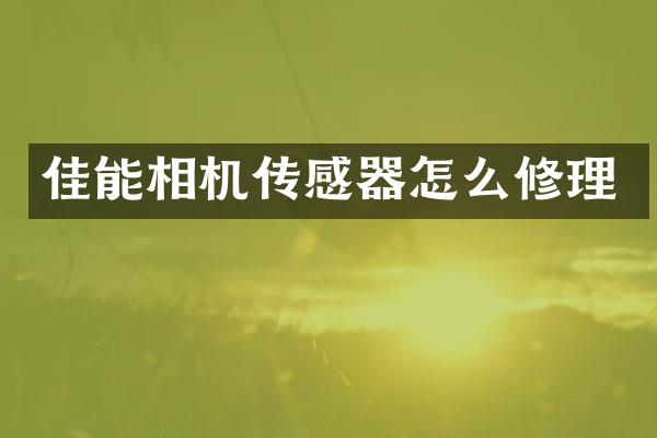 佳能相机传感器怎么修理