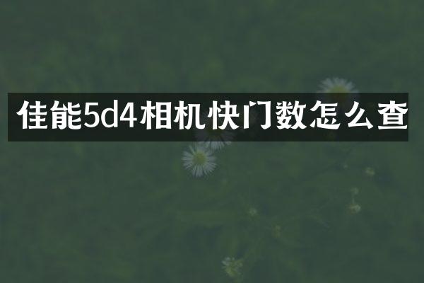 佳能5d4相机快门数怎么查