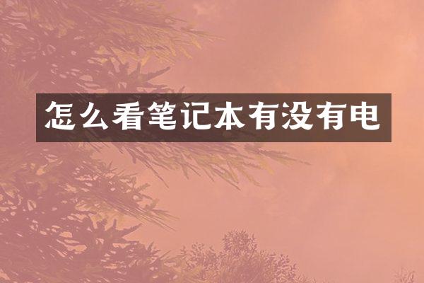 怎么看笔记本有没有电