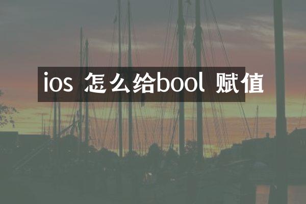 ios 怎么给bool 赋值