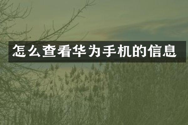 怎么查看华为手机的信息