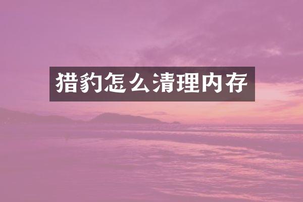 猎豹怎么清理内存