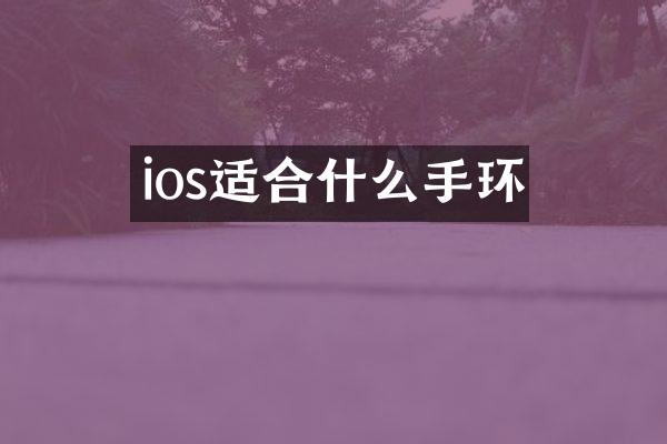 ios适合什么手环