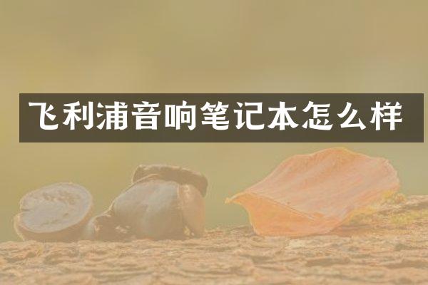 飞利浦音响笔记本怎么样