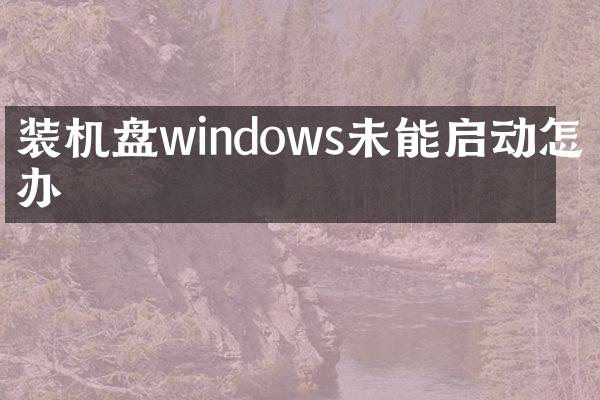 装机盘windows未能启动怎么办