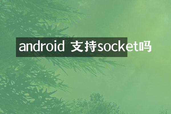 android 支持socket吗