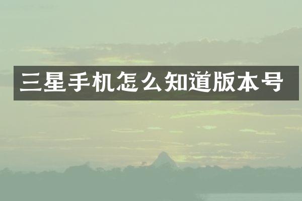 三星手机怎么知道版本号