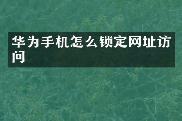 华为手机怎么锁定网址访问