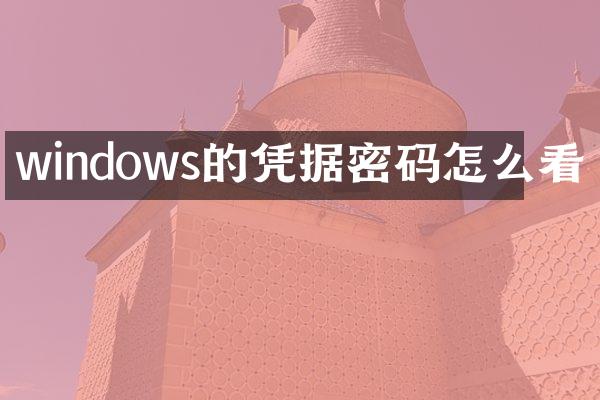 windows的凭据密码怎么看