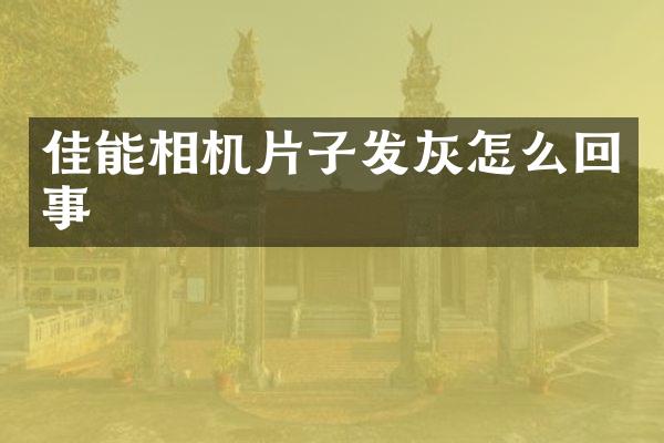 佳能相机片子发灰怎么回事