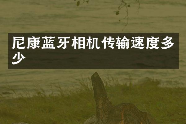 尼康蓝牙相机传输速度多少