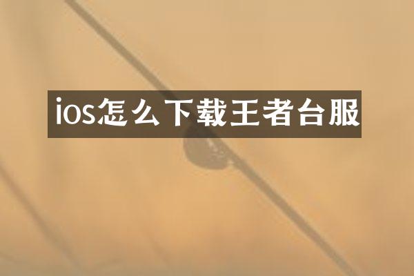 ios怎么下载王者台服