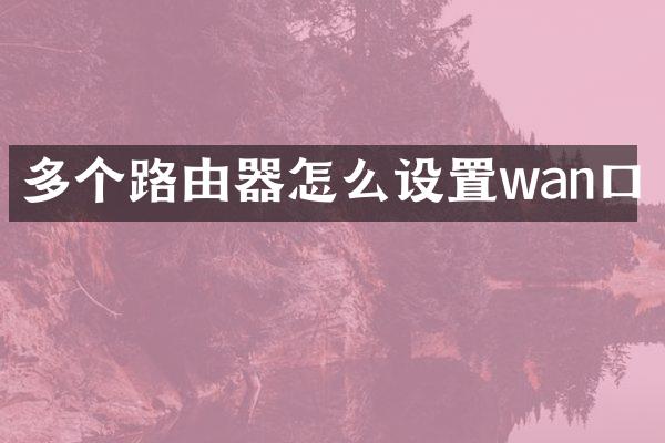 多个路由器怎么设置wan口