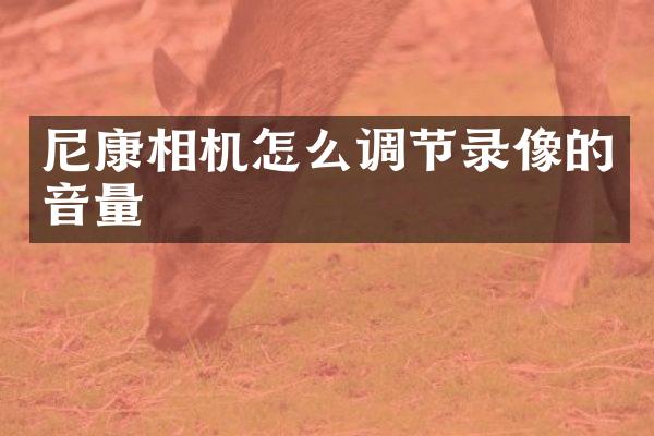 尼康相机怎么调节录像的音量