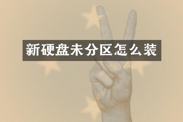 新硬盘未分区怎么装