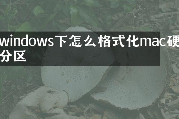 windows下怎么格式化mac硬盘分区